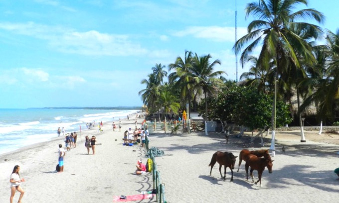 Palomino Wohnung | Cabañas Vacacionales En Palomino Guajira