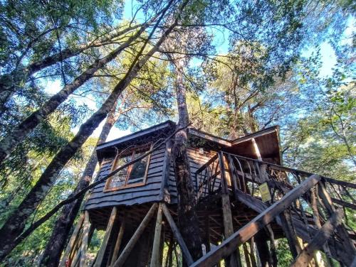 Pinto Skihütte | Cabañita del Árbol Cóndor