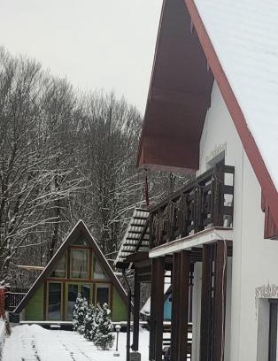 Valiug Haus | Cabana Vânătorilor A Frame Green