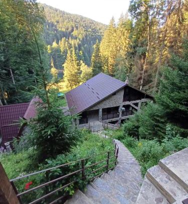 Arefu Kabine | Cabana Zimbru Transfagarasan