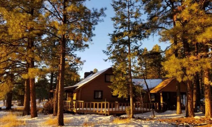 Williams Kabine | Cabin Escape surrounded by ponderosa pine trees and beautiful mountains.