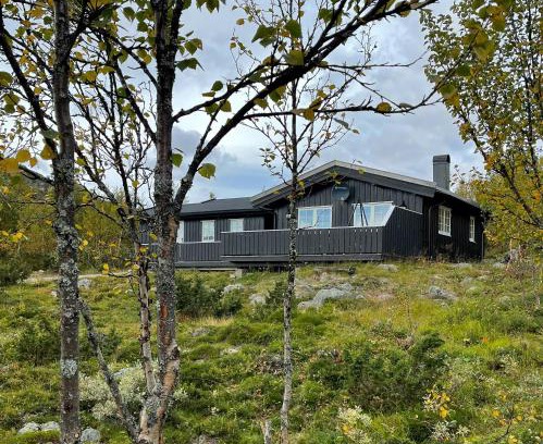 Nore og Uvdal Haus | Cabin In Uvdal With A View Ski-Inout