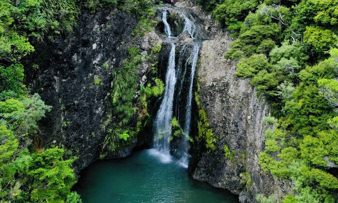 Piha Haus | Cactus Cottage - Iconic Piha Beach Holiday Home