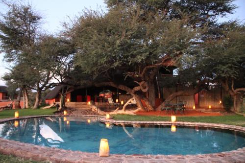 Intu Afrika Kalahari Private Reserve Kabine | Camelthorn Kalahari Lodge