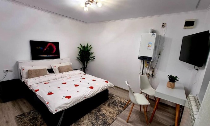 Comanesti Wohnung | Camera/garsoniera in regim hotelier