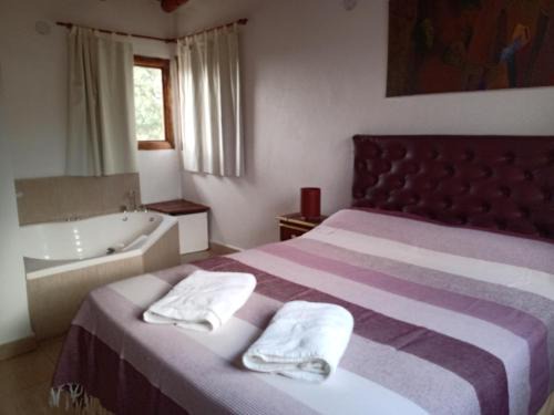 Nono Haus | Campo de los Zorros