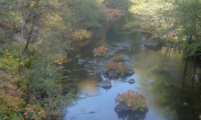 Forest Ranch Hütte | Canyon Cottage: eine friedliche Oase in einer eiligen Welt