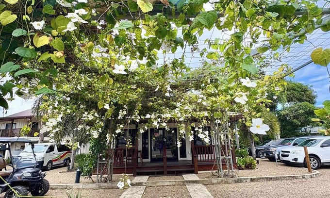 Placencia Wohnung | Captain Jaks