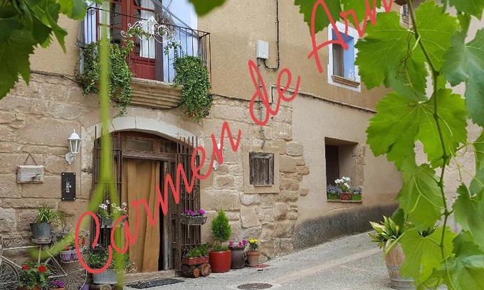 Colungo Haus | Carmen De Arnas