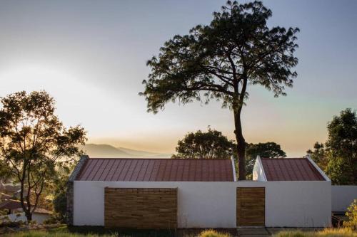 Mazamitla Haus | Casa Alrededor de un Pino