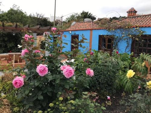 Brena Alta Haus | Casa Asuncion