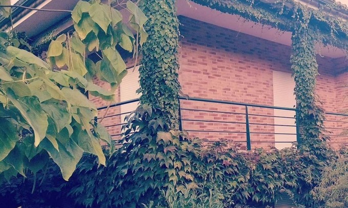 Fragoso Wohnung | 🌿 Casa com Raízes e História. É Casa com Alma. É Refúgio Para Quem nos Visita
