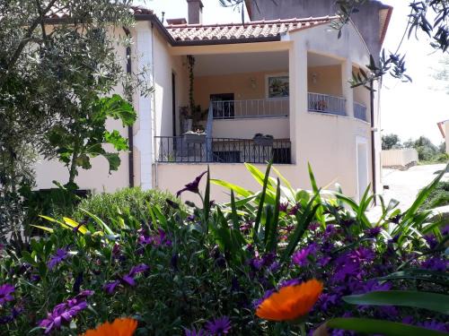 Ansiao Haus | Casa de Amigos
