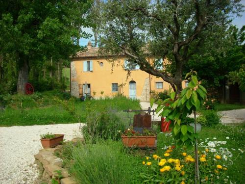 San Lorenzo in Campo Wohnung | Casa dei ciliegi