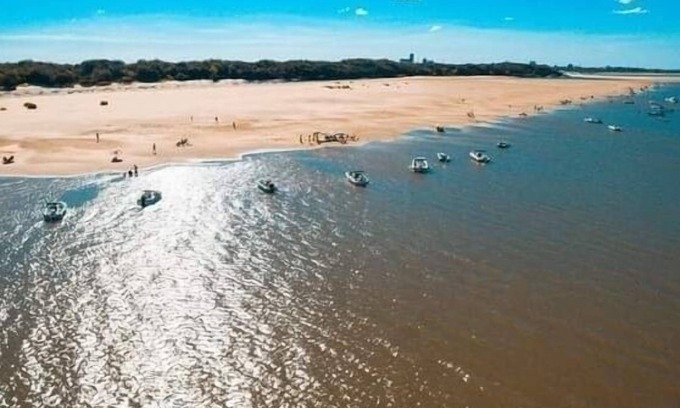 Concepcion del Uruguay Haus | Casa del Árbol