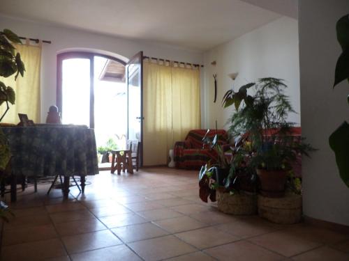 Barao de Sao Joao Haus | Casa do João