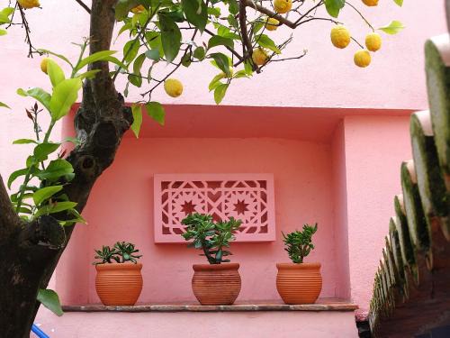 Serpa Haus | Casa do Limoeiro - sleeps up to 4 comfortably