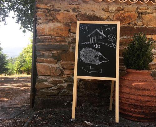Figueiro dos Vinhos Haus | Casa do Ouriço