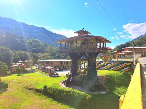 Pijao Hotel | Casa En El Árbol Génova