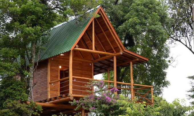 Joao Alves Haus | Casa na Árvore