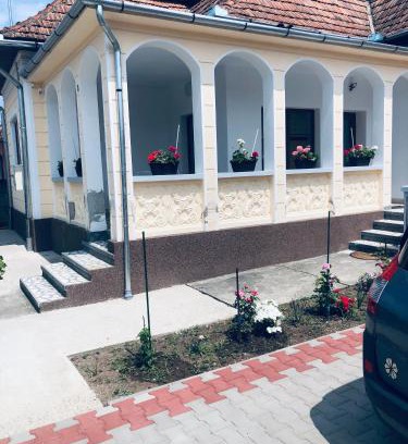 Ocna Mures Haus | Casa Petrutiu1