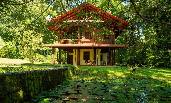 Palma Haus | Casa Ranas, Osa, Gorgeous Home on Edge of Private 32acres of Forest, Easy Access