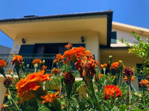 Barcelos Haus | Casa São Simão