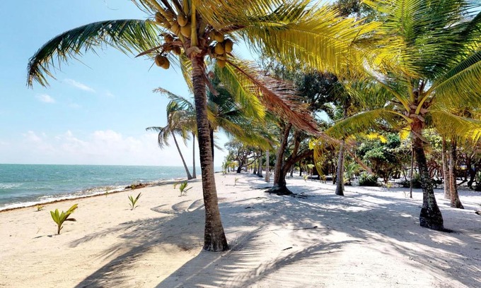 Placencia Haus | Casa Spuntino