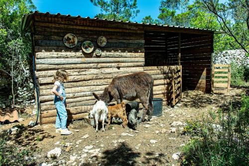 Alcobaca Haus | Casal das Fontainhas