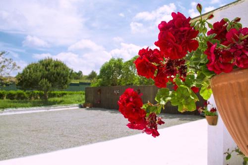 Peniche Haus | Casal Do Góis Guest House