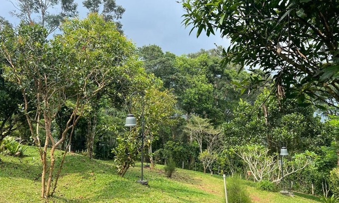 Udumbanchola Haus | Castle Vallakalil Homestay, Luxury at a decient Price
