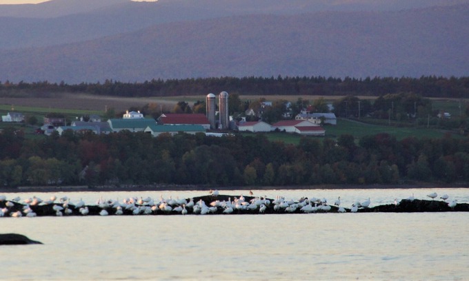 Saint-Michel-de-Bellechasse Skihütte | Chalet sur le Bord du Fleuve