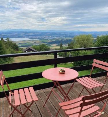 Tevenon Skihütte | Chalet avec vue panoramique alpes et lac