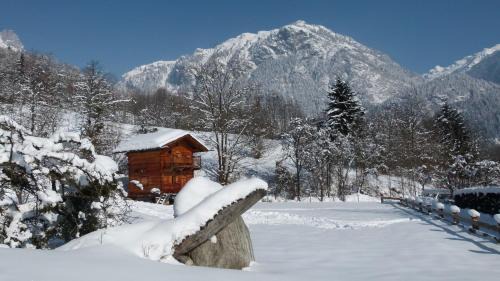 Servoz Skihütte | Chamonix petit chalet Cocooning