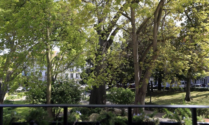 Sao Jose Haus | Charm Flats