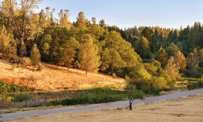 Colfax Wohnung | Charming and Peaceful apartment on Historical Ranch Retreat with WiFi in Colfax