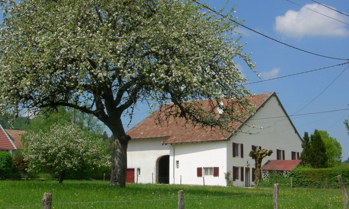 Bourg-de-Sirod Haus | Charming HOUSE COMTOISE, geräumig, großer Garten, privater Parkplatz