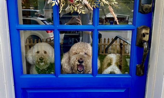 Franklin Hütte | Sauberes und gemütliches Häuschen in historischer Nachbarschaft. Eingezäunter Hof für Haustiere!