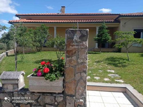 Ansiao Haus | Charming house near Santiago Da Guarda with private pool.