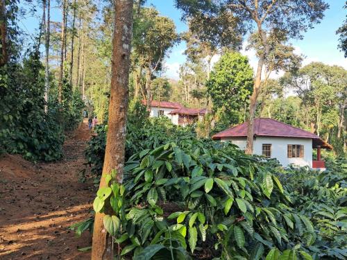 Bittangala Haus | Charming Nest