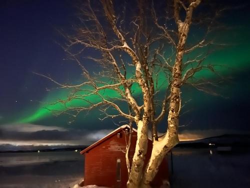 Kvaloya Haus | Charming place in Tromsø by the sea.