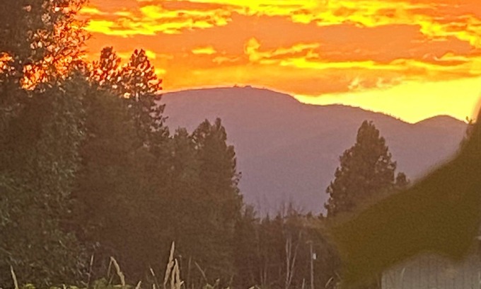 Ponder Point Wohnung | Charming studio in beautiful Sandpoint Idaho.