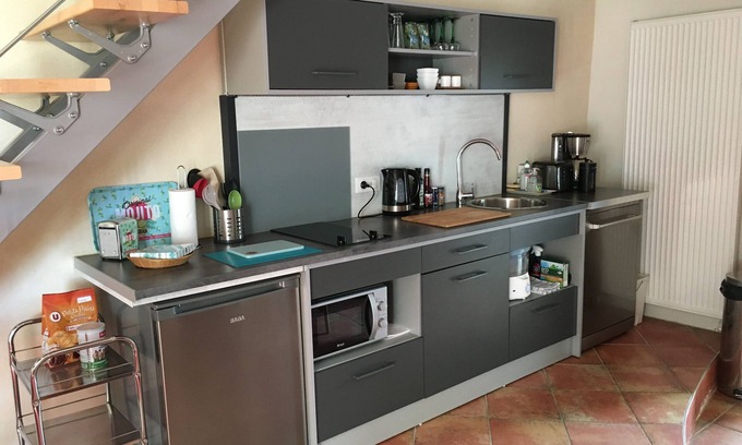 Charnay-les-Macon Wohnung | Charming T2 duplex amidst vineyards Pets welcome