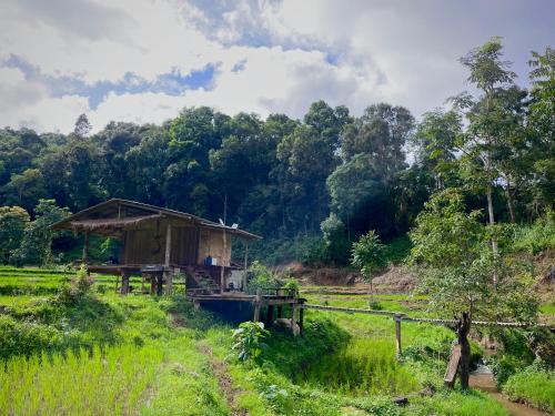 Samoeng Haus | Chibacall ชิบะคอล Karen Mountains Hideaway Homestay