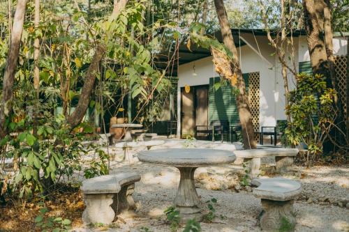 Nosara Sonstige | Chilamate Rainforest Beach Retreat