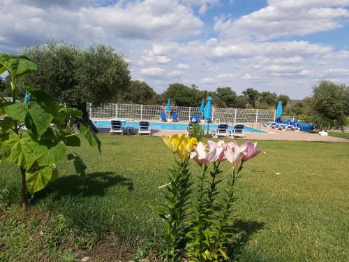 Pinhel Haus | Cidadelhe Rupestre Turismo Rural