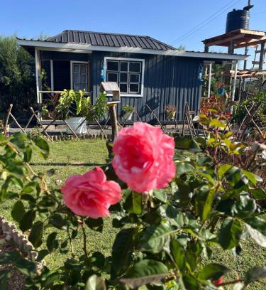 Nanyuki Haus | Citronella Mountain Cottage Nanyuki