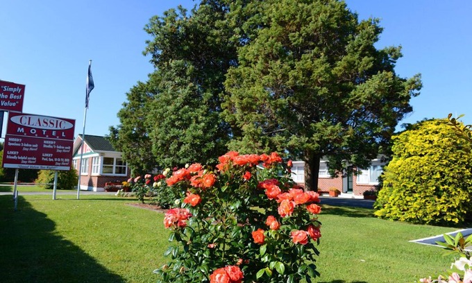 Hamilton North Hotel | Classic Motel