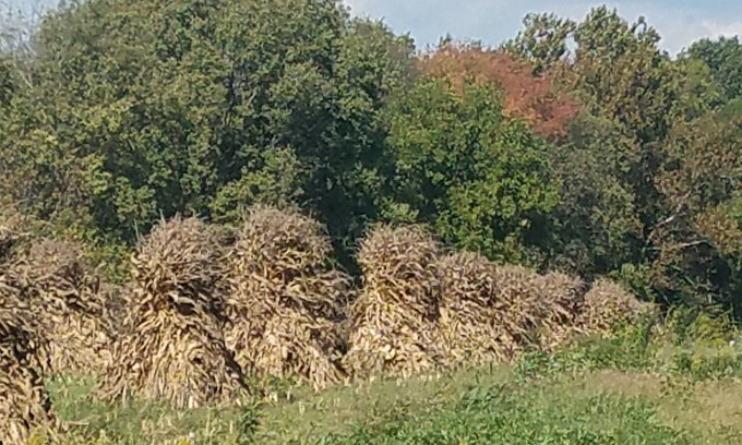 Rockfield Sonstige | Thistle Byre Farm