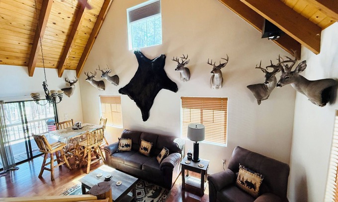 Alpine Kabine | Come Get Cozy in The Coues Cabin